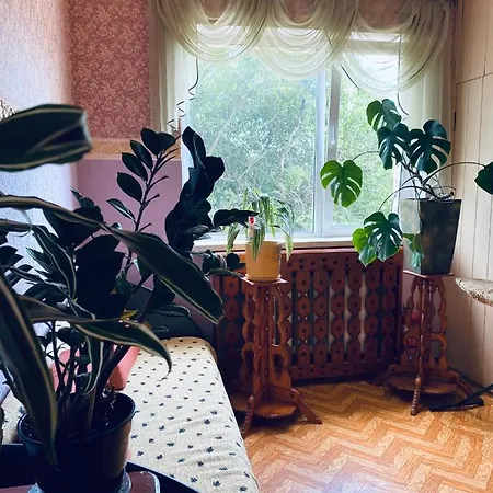 Guest house Uyutniy Dvorik From Odessa Odesa